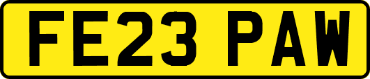 FE23PAW