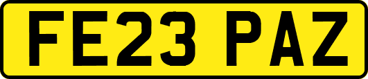FE23PAZ