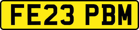 FE23PBM