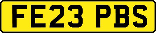 FE23PBS