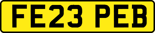 FE23PEB