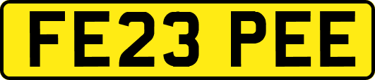 FE23PEE