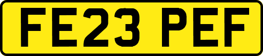 FE23PEF