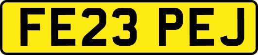 FE23PEJ
