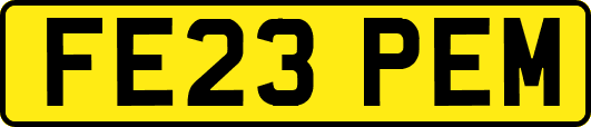 FE23PEM