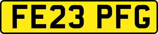 FE23PFG