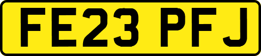 FE23PFJ