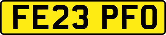 FE23PFO