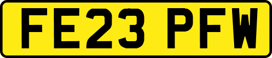 FE23PFW