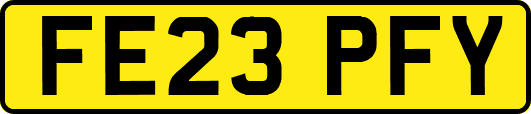 FE23PFY