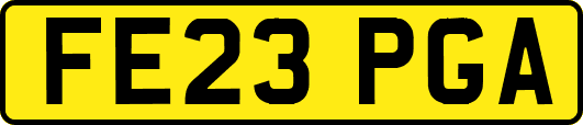 FE23PGA