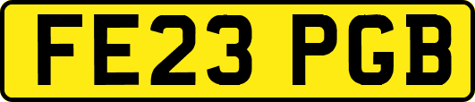 FE23PGB
