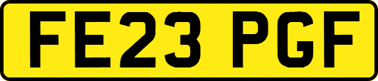 FE23PGF