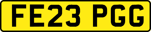 FE23PGG