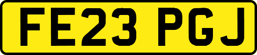 FE23PGJ