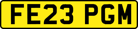 FE23PGM
