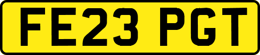 FE23PGT