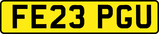 FE23PGU