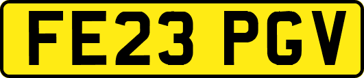 FE23PGV