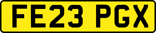 FE23PGX