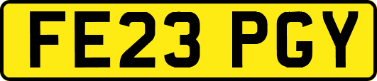 FE23PGY
