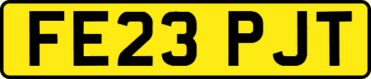 FE23PJT