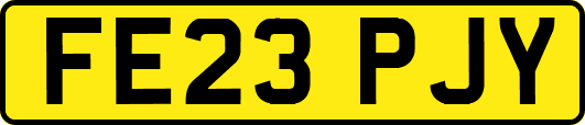 FE23PJY