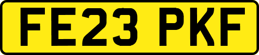 FE23PKF
