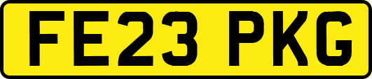 FE23PKG