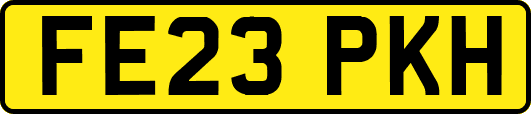 FE23PKH