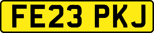 FE23PKJ