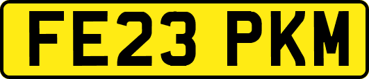 FE23PKM
