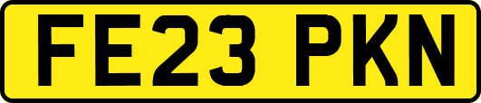 FE23PKN