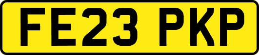 FE23PKP