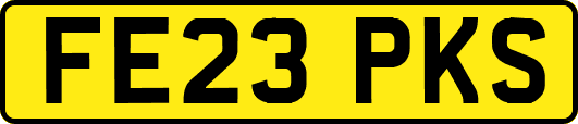 FE23PKS
