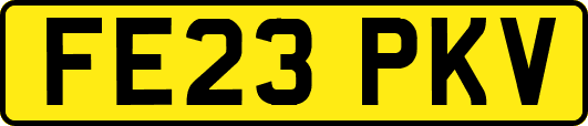 FE23PKV