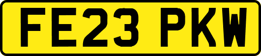 FE23PKW