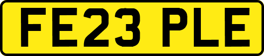 FE23PLE