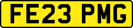 FE23PMG