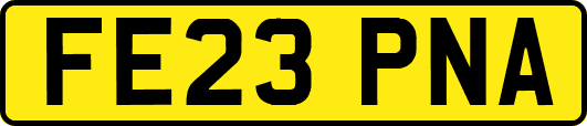 FE23PNA