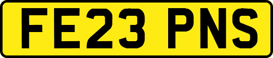FE23PNS
