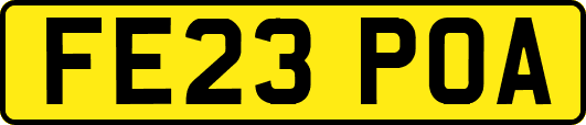 FE23POA