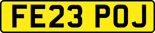 FE23POJ
