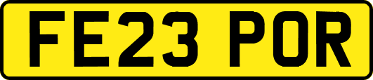 FE23POR