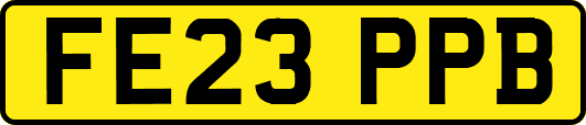 FE23PPB
