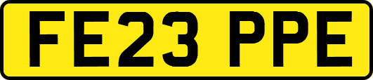 FE23PPE