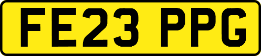 FE23PPG