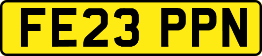FE23PPN
