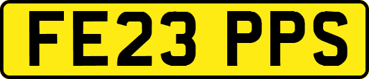 FE23PPS