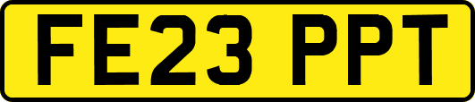 FE23PPT